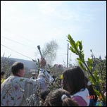 1 - 8 aprilie 2007: tefan cel Mare: Pate cu frnturi din ara Sfnt
